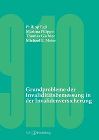 Grundprobleme der Invaliditätsbemessung in der Invalidenversicherung
