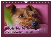 Kelly, der Irish Terrier - innen und außen aus Gold (Wandkalender 2026 DIN A4 quer), CALVENDO Monatskalender