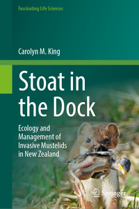 Stoat in the Dock