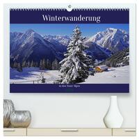 Winterwanderung in den Tuxer Alpen (hochwertiger Premium Wandkalender 2025 DIN A2 quer), Kunstdruck in Hochglanz
