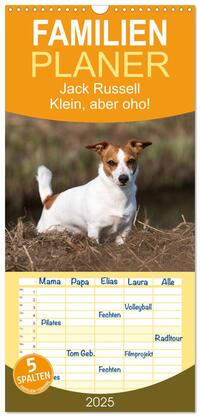 Familienplaner 2025 - Jack Russell - Klein, aber oho! mit 5 Spalten (Wandkalender, 21 x 45 cm) CALVENDO