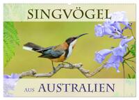 Singvögel aus Australien (Wandkalender 2026 DIN A2 quer), CALVENDO Monatskalender