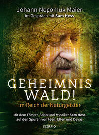 Vorderes Coverbild Geheimnis Wald! - Im Reich der Naturgeister