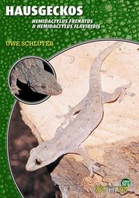 Hausgeckos