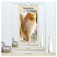Perserkatzen. Zauberhafte Langhaar-Divas in Szene gesetzt (hochwertiger Premium Wandkalender 2026 DIN A2 hoch), Kunstdruck in Hochglanz
