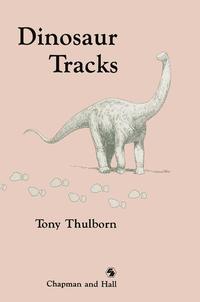 Dinosaur Tracks