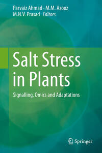 Vorderes Coverbild Salt Stress in Plants