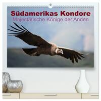 Vorderes Coverbild Südamerikas Kondore - Majestätische Könige der Anden (hochwertiger Premium Wandkalender 2025 DIN A2 quer), Kunstdruck in Hochglanz