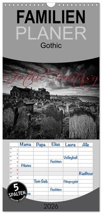 Familienplaner 2026 - Gothic Fantasy mit 5 Spalten (Wandkalender, 21 x 45 cm) CALVENDO