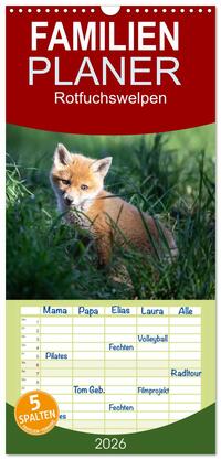 Familienplaner 2026 - Rotfuchswelpen mit 5 Spalten (Wandkalender, 21 x 45 cm) CALVENDO
