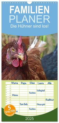Familienplaner 2025 - Die Hühner sind los! mit 5 Spalten (Wandkalender, 21 x 45 cm) CALVENDO