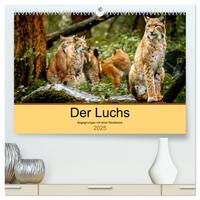 Der Luchs - Begegnungen mit einer Raubkatze (hochwertiger Premium Wandkalender 2025 DIN A2 quer), Kunstdruck in Hochglanz
