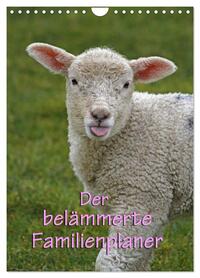 Der belämmerte Familienplaner (Wandkalender 2026 DIN A4 hoch), CALVENDO Monatskalender