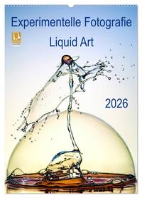 Experimentelle Fotografie Liquid Art (Wandkalender 2026 DIN A2 hoch), CALVENDO Monatskalender