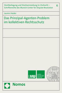 Das Prinzipal-Agenten-Problem im kollektiven Rechtsschutz