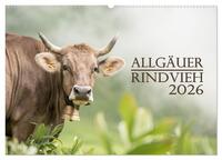 Allgäuer Rindvieh 2026 (Wandkalender 2026 DIN A2 quer), CALVENDO Monatskalender