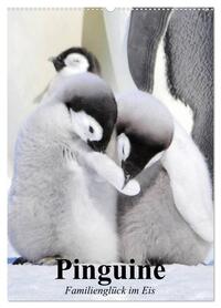 Pinguine. Familienglück im Eis (Wandkalender 2026 DIN A2 hoch), CALVENDO Monatskalender