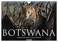 Botswana – Landschaft und Tierwelt (Wandkalender 2025 DIN A4 quer), CALVENDO Monatskalender