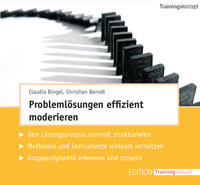 Problemlösungen effizient moderieren (Trainingskonzept)