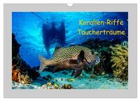 Korallen-Riffe Taucherträume (Wandkalender 2026 DIN A3 quer), CALVENDO Monatskalender