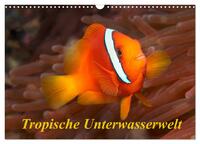 Tropische Unterwasserwelt (Wandkalender 2025 DIN A3 quer), CALVENDO Monatskalender