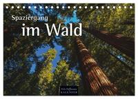 Spaziergang im Wald (Tischkalender 2025 DIN A5 quer), CALVENDO Monatskalender