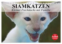 Siamkatzen - Kleiner Frechdachs mit Familie (Tischkalender 2026 DIN A5 quer), CALVENDO Monatskalender