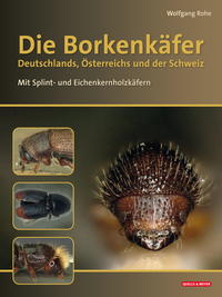 Die Borken- und Eichenkernholzkäfer