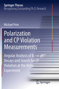 Polarization and CP Violation Measurements