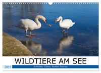 WILDTIERE AM SEE (Wandkalender 2025 DIN A3 quer), CALVENDO Monatskalender