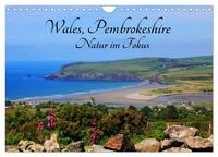 Wales Pembrokeshire - Natur im Fokus- (Wandkalender 2025 DIN A4 quer), CALVENDO Monatskalender