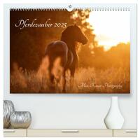 Pferdezauber 2025 (hochwertiger Premium Wandkalender 2025 DIN A2 quer), Kunstdruck in Hochglanz