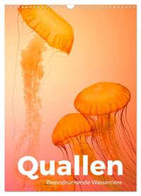 Quallen - Beeindruckende Wassertiere (Wandkalender 2025 DIN A3 hoch), CALVENDO Monatskalender
