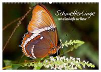 Schmetterlinge - zarte Geschöpfe der Natur (Wandkalender 2025 DIN A2 quer), CALVENDO Monatskalender