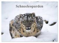Schneeleoparden (Wandkalender 2026 DIN A3 quer), CALVENDO Monatskalender