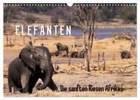 Elefanten - Die sanften Riesen Afrikas (Wandkalender 2025 DIN A3 quer), CALVENDO Monatskalender