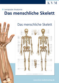 Vorderes Coverbild Lernposter Anatomie