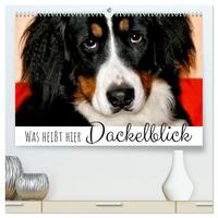 Was heißt hier Dackelblick (hochwertiger Premium Wandkalender 2025 DIN A2 quer), Kunstdruck in Hochglanz