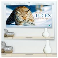 Dem Luchs auf der Spur (hochwertiger Premium Wandkalender 2026 DIN A2 quer), Kunstdruck in Hochglanz