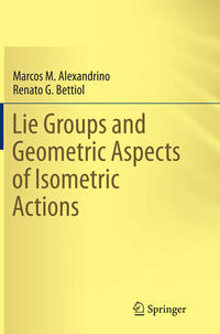 Lie Groups and Geometric Aspects of Isometric Actions