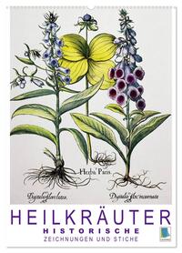 Heilkräuter: Historische Zeichnungen und Stiche (Wandkalender 2026 DIN A2 hoch), CALVENDO Monatskalender