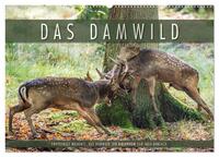 Emotionale Momente: Das Damwild. (Wandkalender 2026 DIN A2 quer), CALVENDO Monatskalender