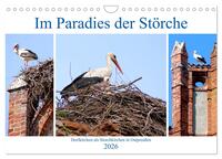 Im Paradies der Störche - Dorfkirchen als Storchkirchen in Ostpreußen (Wandkalender 2026 DIN A4 quer), CALVENDO Monatskalender