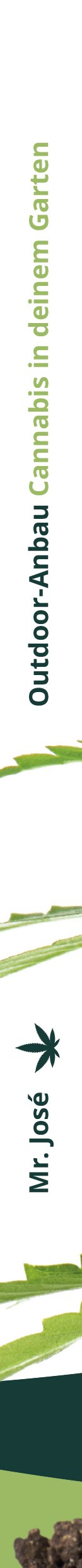 Outdoor-Anbau Cannabis in deinem Garten