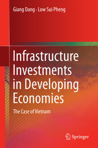 Infrastructure Investments in Developing Economies