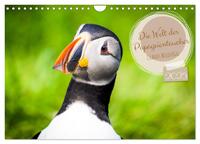 Die Welt der Papageientaucher - Islands Wildvögel (Wandkalender 2025 DIN A4 quer), CALVENDO Monatskalender