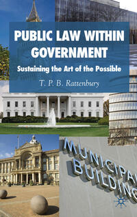 Public Law within Government