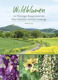 Wildblumen