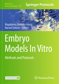 Embryo Models In Vitro
