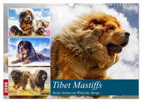 Tibet Mastiffs. Stolze Seelen im Wind der Berge (Wandkalender 2026 DIN A3 quer), CALVENDO Monatskalender